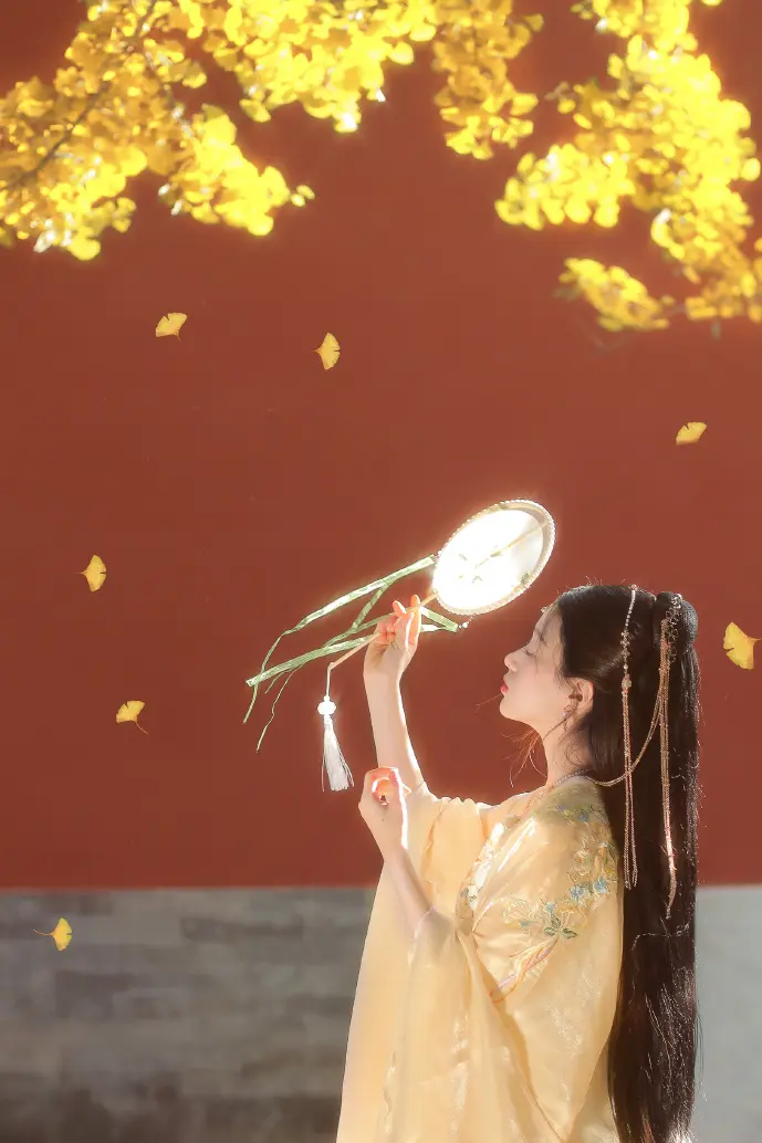 加拿大手游用户画像数据可视化